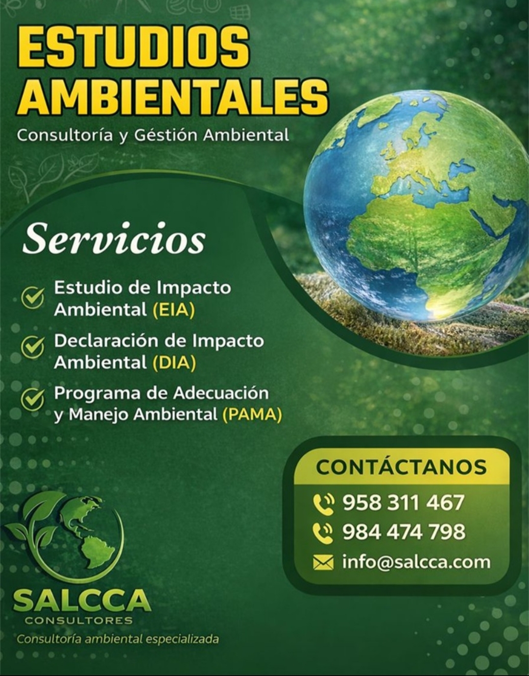 SALCCA — Estudios ambientales EIA, DIA, PAMA